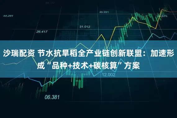 沙瑞配资 节水抗旱稻全产业链创新联盟：加速形成“品种+技术+碳核算”方案